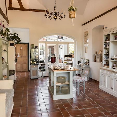 Appartamento Derhofrat Litzelsdorf Esterno foto